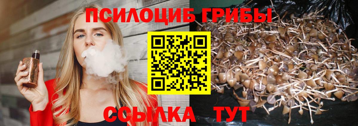 Чайковский  магазин  наркотиков  Вход с VPN  Псилоцибиновые грибы Cubensis 